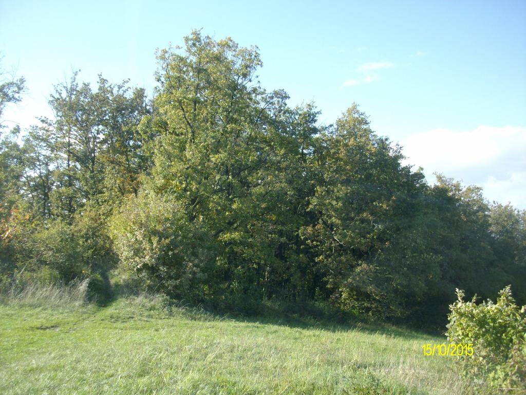 B&B San Nicola Serramazzoni Buitenkant foto