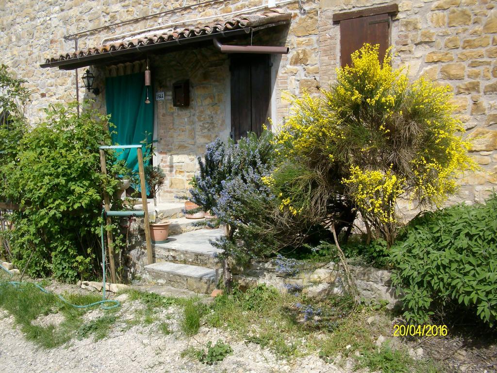 B&B San Nicola Serramazzoni Buitenkant foto