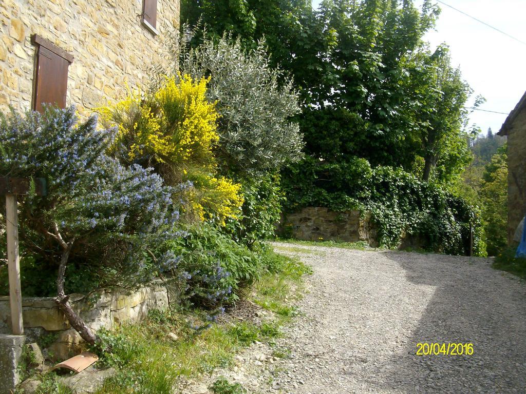 B&B San Nicola Serramazzoni Buitenkant foto