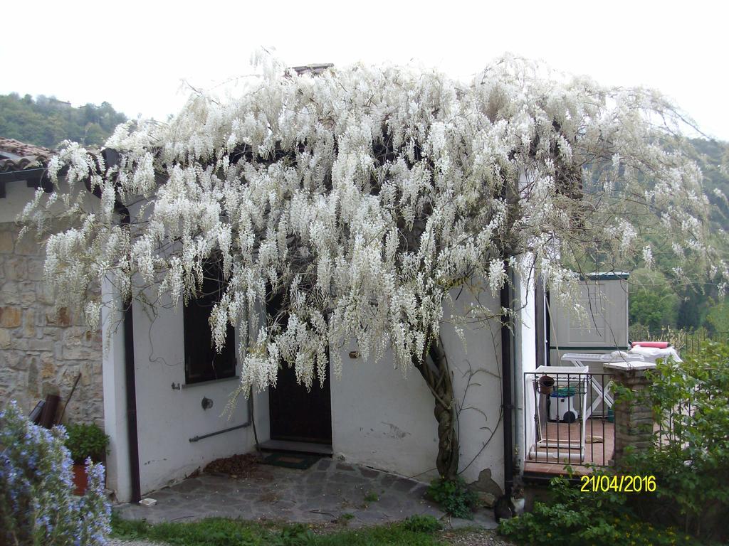 B&B San Nicola Serramazzoni Buitenkant foto